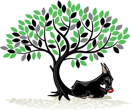 canopy package icon