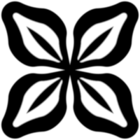 Determinize package icon