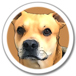 watsonorm.sqlite package icon